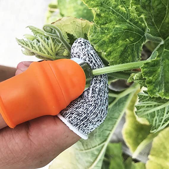 🔥GARDENING THUMB KNIFE🔥（🔥🔥🔥BUY 10 GET 10FREE & FREE SHIPPING）