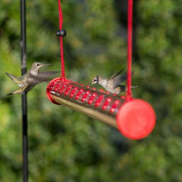 🔥49% OFF🔥Bob's Best Hummingbird Feeder