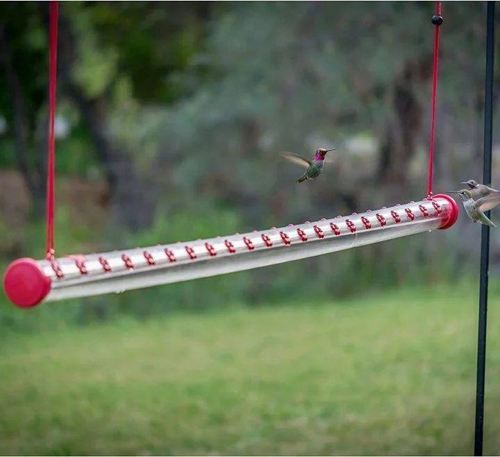 🔥49% OFF🔥Bob's Best Hummingbird Feeder