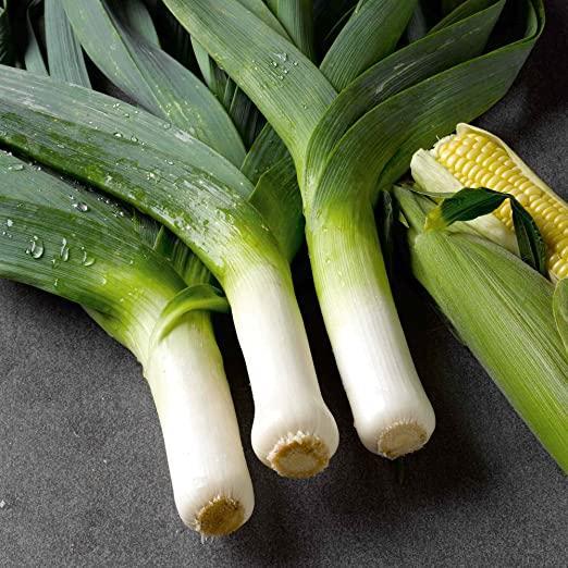 Leek Comanche F1 Organic