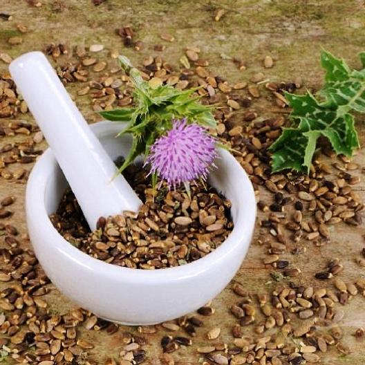 Milk Thistle Seeds