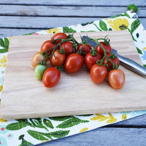 Garden Gem Tomatoes