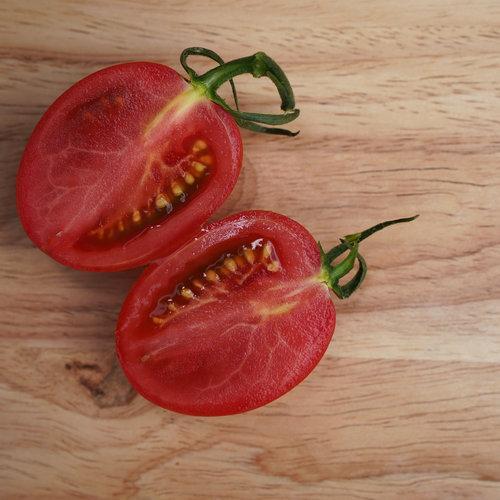 Garden Gem Tomatoes